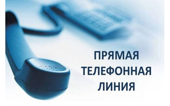 Прямая телефонная линия 20.11.2025